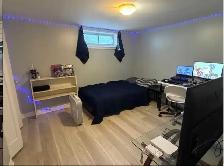 2 ROOMS FOR RENT-NEAR ALGONQUIN / CARLETON - Photo 3