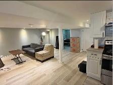2 ROOMS FOR RENT-NEAR ALGONQUIN / CARLETON - Photo 4