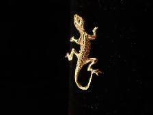 14k Gold Lizard pendant - Photo 2