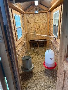 Chicken Coop - Photo 3
