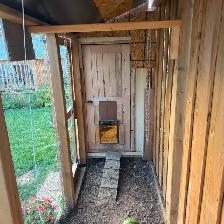 Chicken Coop - Photo 4
