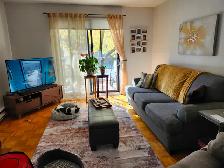 DECEMBRE 2026 - GRAND 3 1/2- Faut voir!  PRIX IMBATTABLE : 1020$ - Photo 2