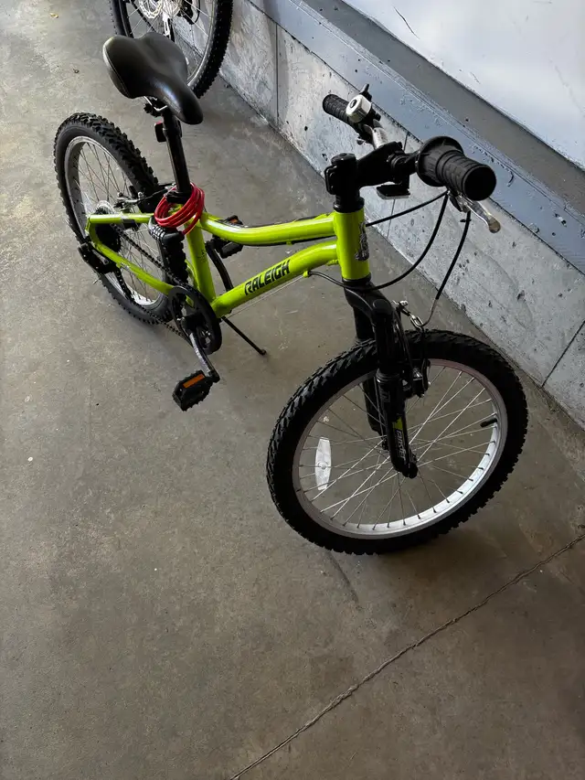 Youth Bike 20" - Raleigh GOAT Kids Bike