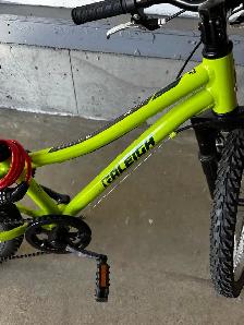 Youth Bike 20" - Raleigh GOAT Kids Bike - Photo 2