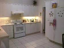Furnished Large, Clean Bdrm for Rent. $950/month ALL INCLUSIVE - Photo 5
