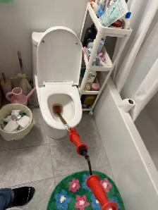 Unclogging Toilet