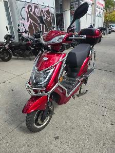 Emmo Hornet X – Fully Serviced Electric Bike (Downtown Emmo - Photo 2