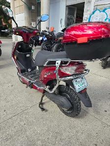 Emmo Hornet X – Fully Serviced Electric Bike (Downtown Emmo - Photo 3