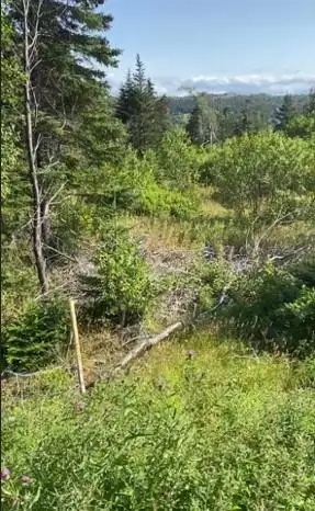 Build Your Dream Home on 1  Acre Lot in Victoria!