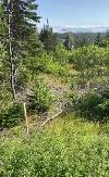 Build Your Dream Home on 1  Acre Lot in Victoria!