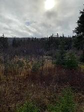 Build Your Dream Home on 1  Acre Lot in Victoria! - Photo 4