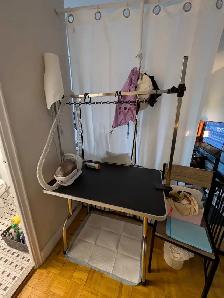 $20/Day Small Dog Daycare & $20/Dog Grooming Services - Photo 5