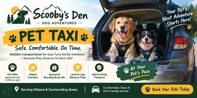 Pet taxi ottawa