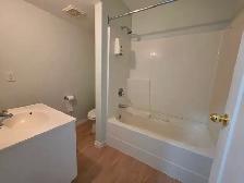 1 Bed Bsmt walking distance to Saddletowne Circle and Train Stn - Photo 9