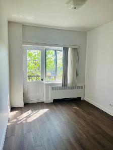 Beautiful Renovated Two Bedroom Apartment for October HOT - Photo 2