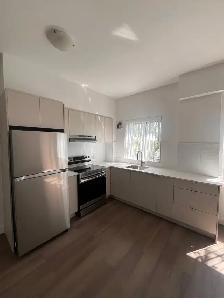 Beautiful Renovated Two Bedroom Apartment for October HOT - Photo 6
