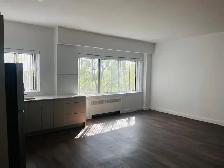 Beautiful Renovated Two Bedroom Apartment for October HOT - Photo 7