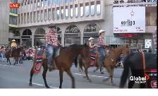 Well Broke Kids Horses for Sale - Photo 2