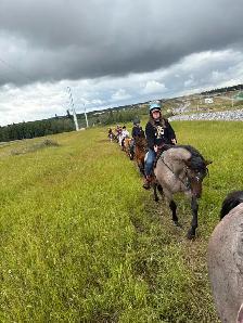 Well Broke Kids Horses for Sale - Photo 8
