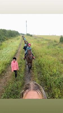 Well Broke Kids Horses for Sale - Photo 9