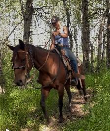 Well Broke Kids Horses for Sale - Photo 10