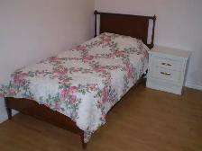 Private basement room near SQ 1 for single female only