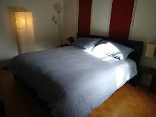 Sous location Grand 4 1/2 meublé tout compris sur 2 étages - Photo 10