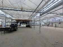 Greenhouse available for lease - Photo 2