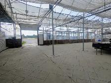 Greenhouse available for lease - Photo 4