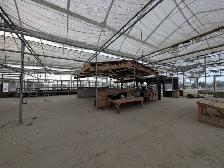 Greenhouse available for lease - Photo 5