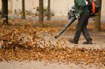 SPRING & FALL LAWN CLEAN UPS - LEWBURY LANDSCAPING