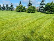 SPRING & FALL LAWN CLEAN UPS - LEWBURY LANDSCAPING - Photo 2