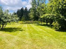 SPRING & FALL LAWN CLEAN UPS - LEWBURY LANDSCAPING - Photo 3