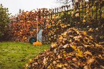 SPRING & FALL LAWN CLEAN UPS - LEWBURY LANDSCAPING - Photo 4