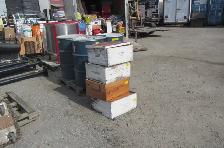 AUCTION - RAW HONEY AND EQUIPMENT - SAT. OCT. 3, 8AM - Photo 4