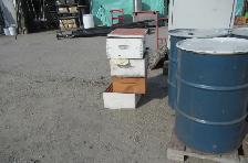 AUCTION - RAW HONEY AND EQUIPMENT - SAT. OCT. 3, 8AM - Photo 5