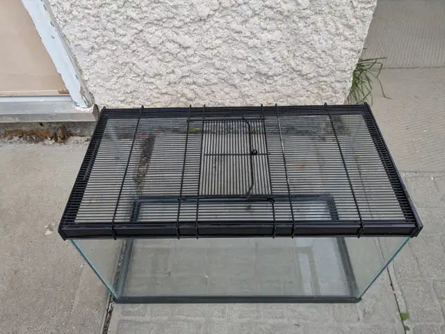 10-galllon Terranium