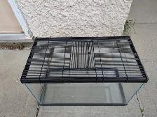 10-galllon Terranium