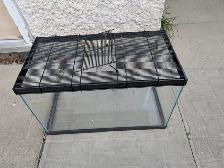 10-galllon Terranium - Photo 2