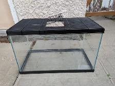 10-galllon Terranium - Photo 3