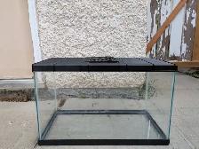 10-galllon Terranium - Photo 4