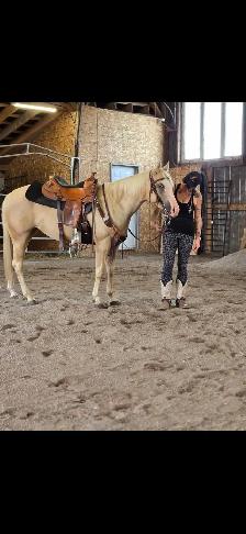 ISO Western trainer  to hire - Photo 7