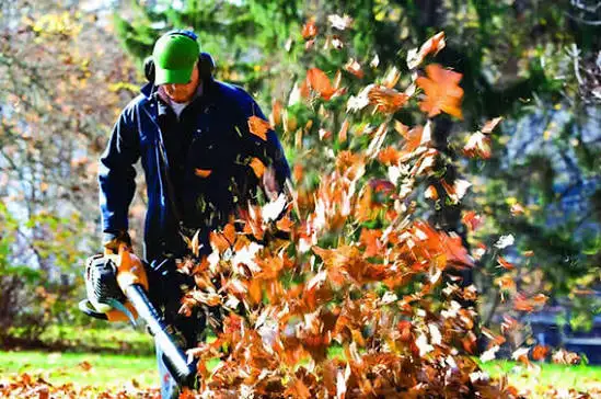 LEAF AND SNOW REMOVAL