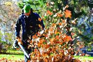 LEAF AND SNOW REMOVAL