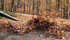 LEAF AND SNOW REMOVAL - Photo 2