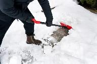 LEAF AND SNOW REMOVAL - Photo 3