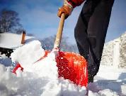 LEAF AND SNOW REMOVAL - Photo 4