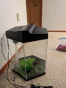 16-gallon Hexagonal Aquarium & Accessories - Photo 2