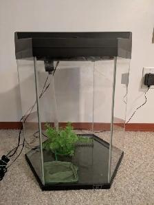 16-gallon Hexagonal Aquarium & Accessories - Photo 3