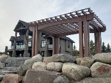 Douglas Fir Timbers - Photo 5